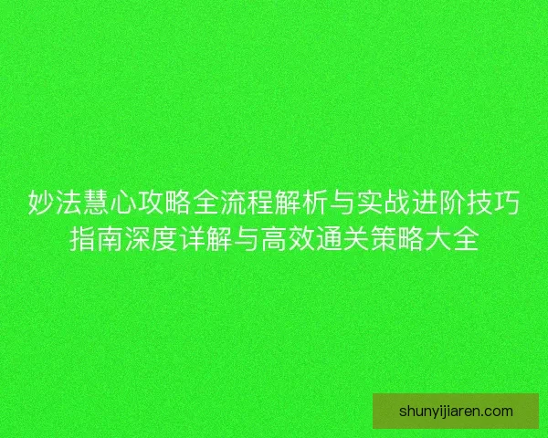 妙法慧心攻略全流程解析与实战进阶技巧指南深度详解与高效通关策略大全