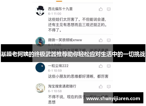 暴躁老阿姨的终极武器推荐助你轻松应对生活中的一切挑战